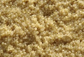 Quinoa, an example of a plant with complete protein