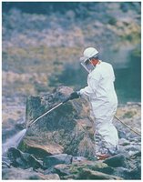 Bioremediation using bacteria