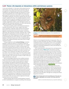 Example of ecological interactions in a biological system