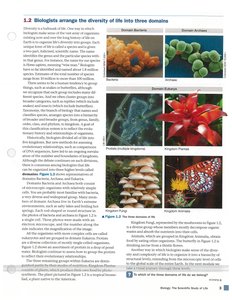 Images of organisms from the three domains of life
