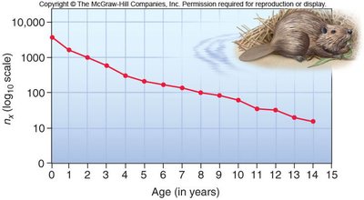 Survivorship curve for beavers