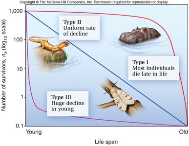 Generalized survivorship curves: Type I, II, III