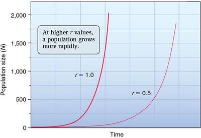 Exponential growth curves at different r values