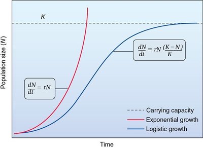 Comparison of exponential and logistic growth