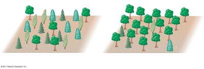 Comparison of two communities with different species abundances