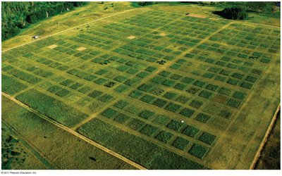 Cedar Creek Natural History Area experimental plots