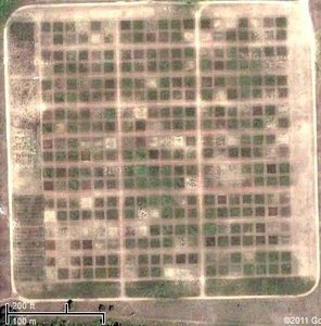Aerial view of experimental plots