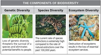 The components of biodiversity: genetic, species, and ecosystem diversity
