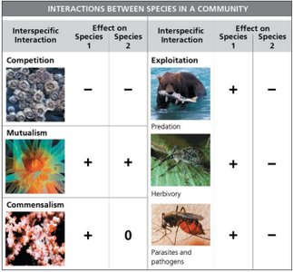 Table of interspecific interactions: competition, mutualism, commensalism, exploitation