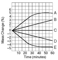 Graph showing percent mass change of dialysis bags over time