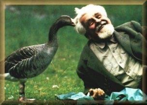 Gosling with human, illustrating imprinting
