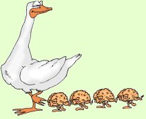 Cartoon of goose and following chicks
