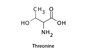 Structure of threonine showing its functional groups