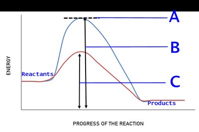 Energy diagram showing reactants, products, and activation energies with and without enzyme