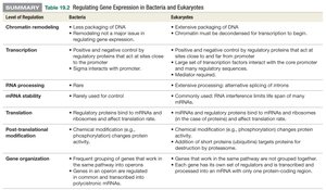 Summary table: Regulating gene expression in bacteria and eukaryotes