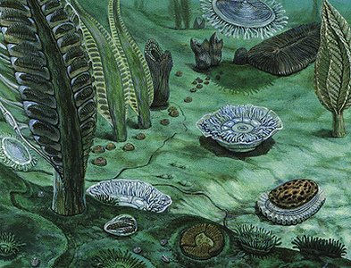 Cambrian explosion fossil record