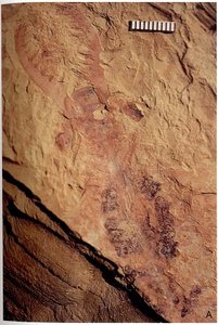 Mesozoic era dinosaurs