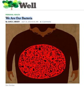 Bacteria in the gut microbiome