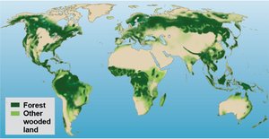 Global distribution of forests and wooded land