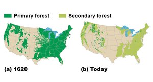 Map of primary and secondary forests in the US, 1620 vs. today