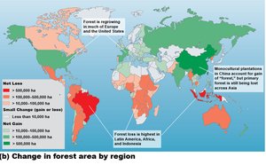 Global map showing change in forest area by region