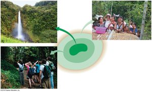 Diagram of biosphere reserve zones and associated activities