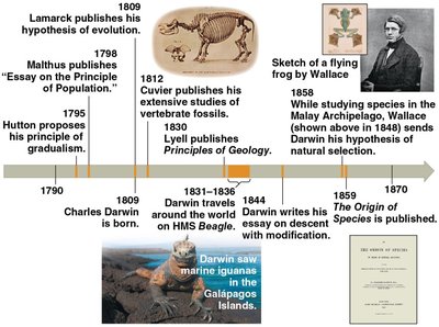 Timeline of key events in the development of evolutionary theory