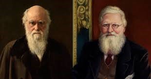 Cover of The Origin of Species book