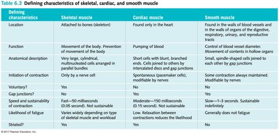 Table comparing skeletal, cardiac, and smooth muscle