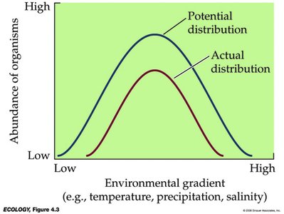 Graph showing potential vs. actual abundance along an environmental gradient