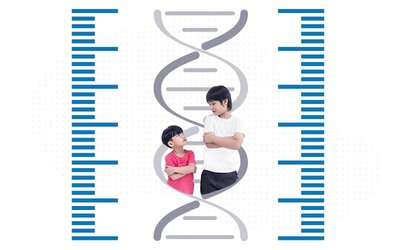 Genetic variation in human height