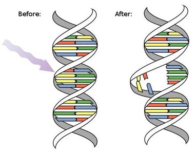 DNA damage from UV light