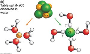 Table salt (NaCl) dissolved in water, showing hydration shells around Na+ and Cl- ions