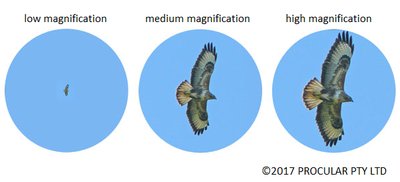 Magnification comparison: low, medium, high