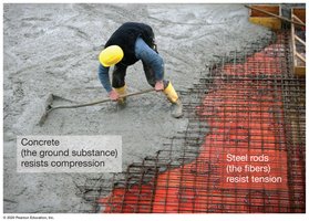 Concrete and steel rods analogy for cell wall structure