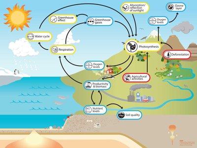 Diagram showing human impacts on the photosynthesis system and global cycles
