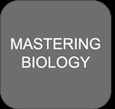Ecosystem chemical cycling diagram