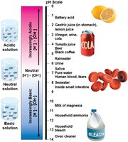 The pH Scale and pH Values of some Aqueous Solutions