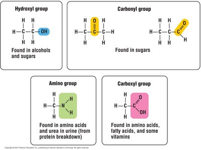 Functional groups in organic molecules
