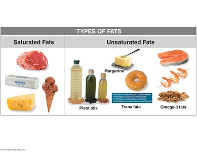 Types of fats