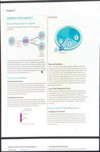 Diagram of mitosis and cell cycle