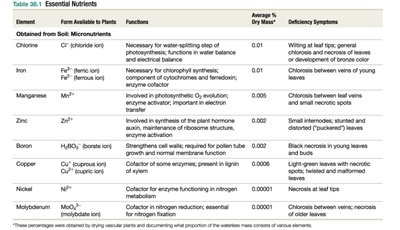 Table of essential micronutrients for plants