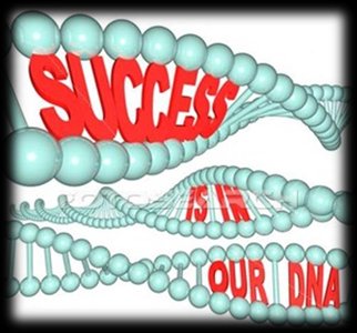 Experiment showing cytoplasmic signals regulating the cell cycle