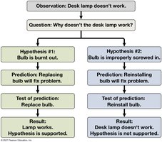 A simplified view of the scientific process