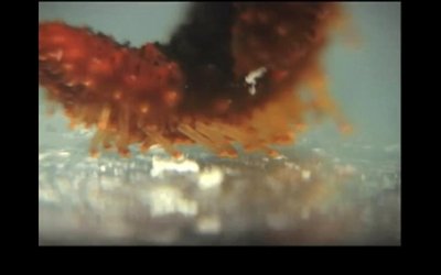 Echinoderm tube feet in action