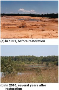 Photographs showing ecosystem before and after restoration