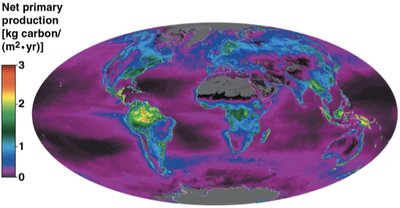 Global map of net primary production