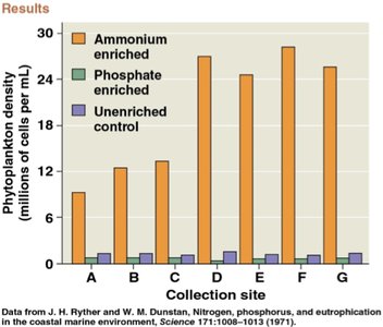 Bar graph showing effects of nutrient enrichment on phytoplankton density