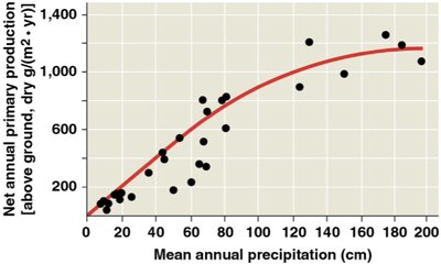 Graph showing relationship between precipitation and net annual primary production