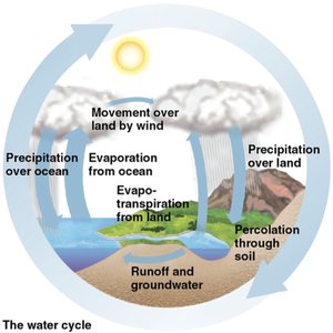 Diagram of the water cycle